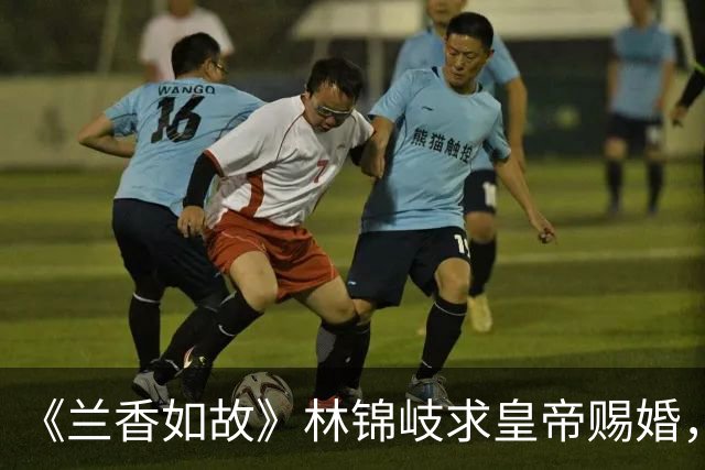 《兰香如故》林锦岐求皇帝赐婚，全网骂他恋爱脑上头，其实他藏了三个心眼，一个比一个精
