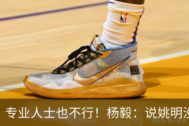 专业人士也不行！杨毅：说姚明没有足够支持的都是胡话