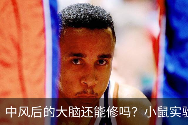 中风后的大脑还能修吗？小鼠实验给出一个意外答案