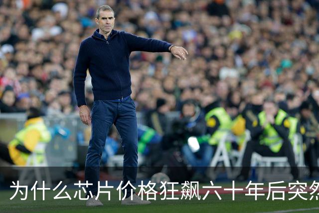 为什么芯片价格狂飙六十年后突然涨不动了