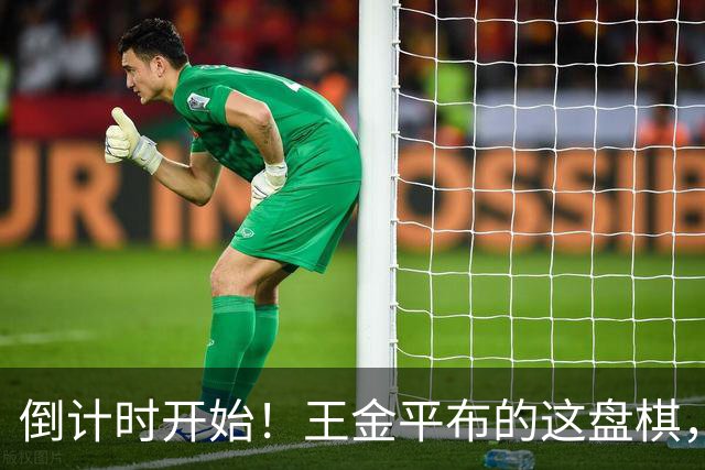 倒计时开始！王金平布的这盘棋，正把国民党推向第二个李登辉