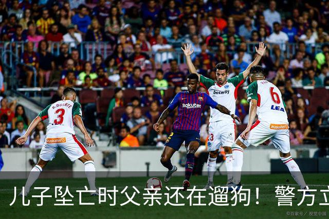 儿子坠亡时父亲还在遛狗！警方立案，母亲曝光铁证，果然有阴谋