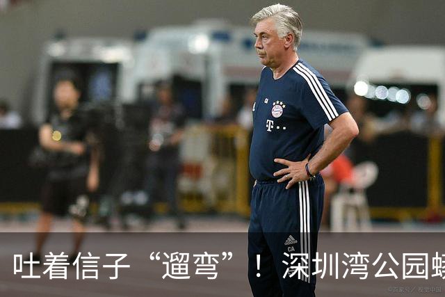 吐着信子“遛弯”！深圳湾公园蟒蛇爆红全网，工作人员回应亮了
