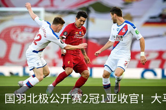 国羽北极公开赛2冠1亚收官！大马男双新组合首次配对即夺冠