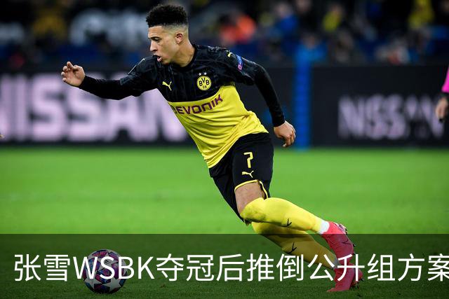 张雪WSBK夺冠后推倒公升组方案：弃四缸改自研V5，两年冲公升组经理放话全力托底