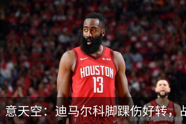 意天空：迪马尔科脚踝伤好转，战帕尔马可复出