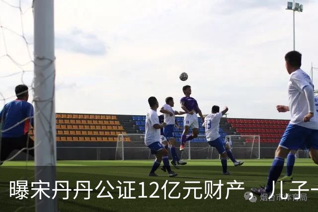 曝宋丹丹公证12亿元财产，儿子一家每月领80万，分配名单未列丈夫！