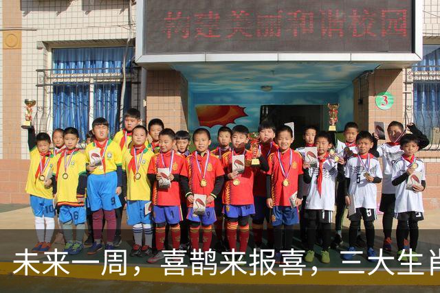 未来一周，喜鹊来报喜，三大生肖正财稳健，偏财也有小惊喜！