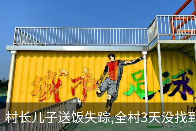 村长儿子送饭失踪,全村3天没找到,我却看见荒田中稻草人挤满乌鸦