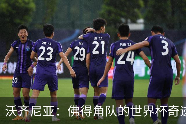 沃齐尼亚：佛得角队的世界杯奇迹属于所有球员，并不仅仅是我
