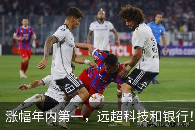 涨幅年内第一，远超科技和银行！这个传统板块，为什么这么强？
