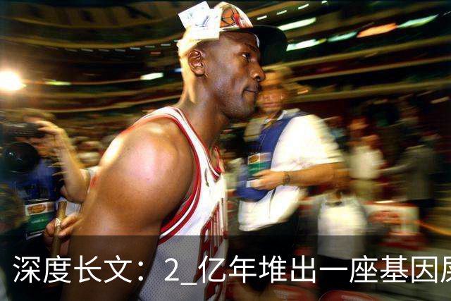 深度长文：2 亿年堆出一座基因屎山，甲藻，海洋里不走寻常路的单细胞
