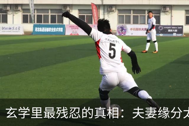 玄学里最残忍的真相：夫妻缘分太深，才会一个先走，一个断后