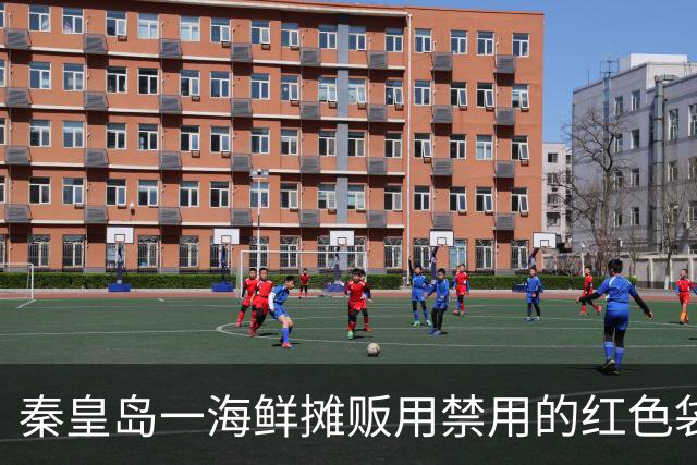 秦皇岛一海鲜摊贩用禁用的红色袋装海鲜被停业，管理员：不透明袋子比普通袋子更重，推广白袋图的就是“透明”，网友：终于有市场较真了