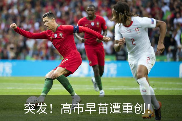 突发！高市早苗遭重创！