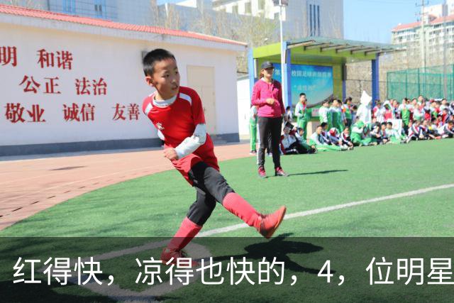 红得快，凉得也快的，4，位明星，以前是男神女神，如今断崖式凉透