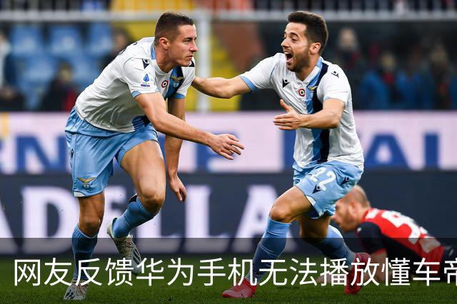 网友反馈华为手机无法播放懂车帝App尊界视频