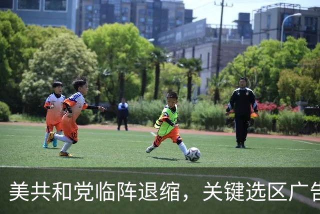 美共和党临阵退缩，关键选区广告全撤，众议院多数席位悬了？