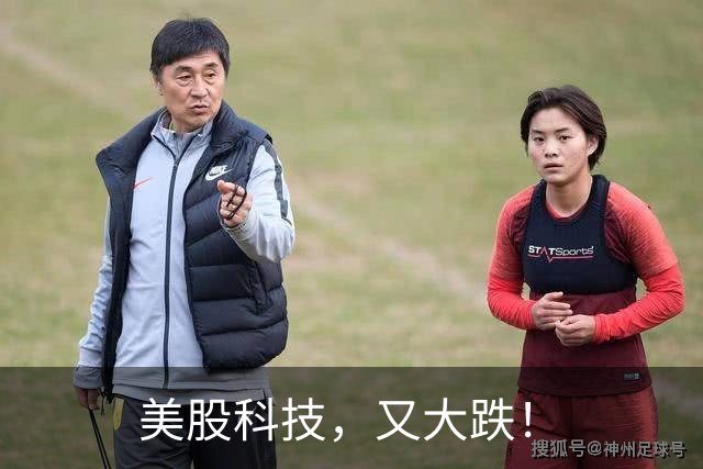 美股科技，又大跌！