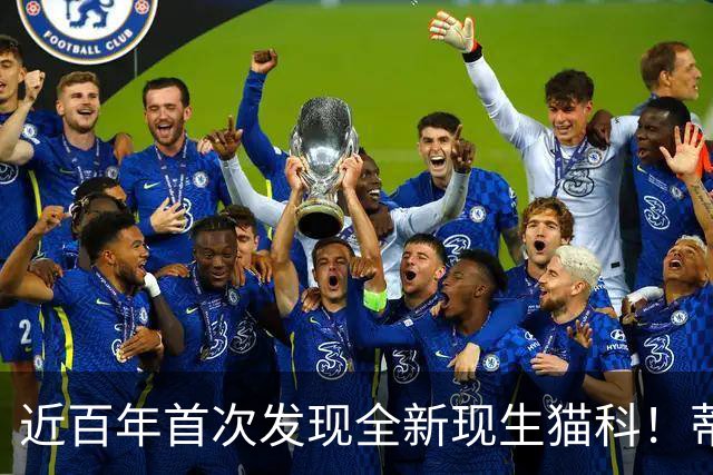 近百年首次发现全新现生猫科！蒂尔卡约虎猫正式命名，有哪些关键细节？