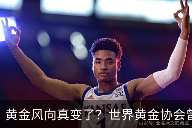 黄金风向真变了？世界黄金协会曾提醒：今年下半年，或将迎关键期