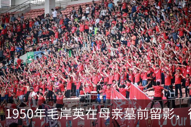 1950年毛岸英在母亲墓前留影，很遗憾没多久就牺牲于朝鲜前线