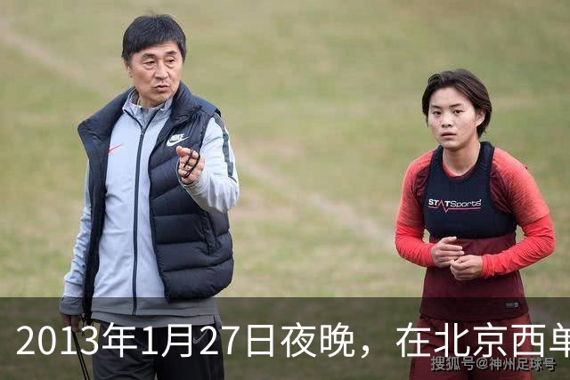 2013年1月27日夜晚，在北京西单，29岁的杨雪鸥驾驶男友新买的牧马人，停车三小时