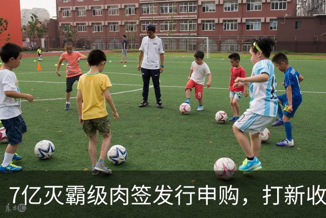 7亿灭霸级肉签发行申购，打新收益高，股民非常想要中签！