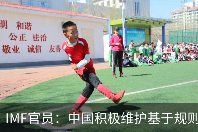 IMF官员：中国积极维护基于规则的多边贸易体系