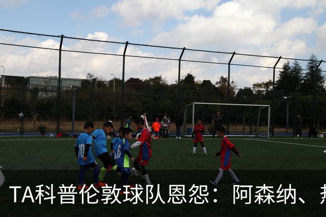 TA科普伦敦球队恩怨：阿森纳、热刺、切尔西互恨 富勒姆比较佛系